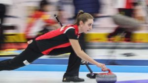 Plastic UHMWPE Sheet for Synthetic Outdoor Flooring Curling sports ice rink boards