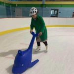 Ice Rink Accessories