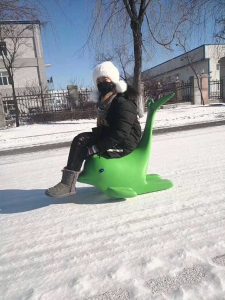 Ice rink accessories