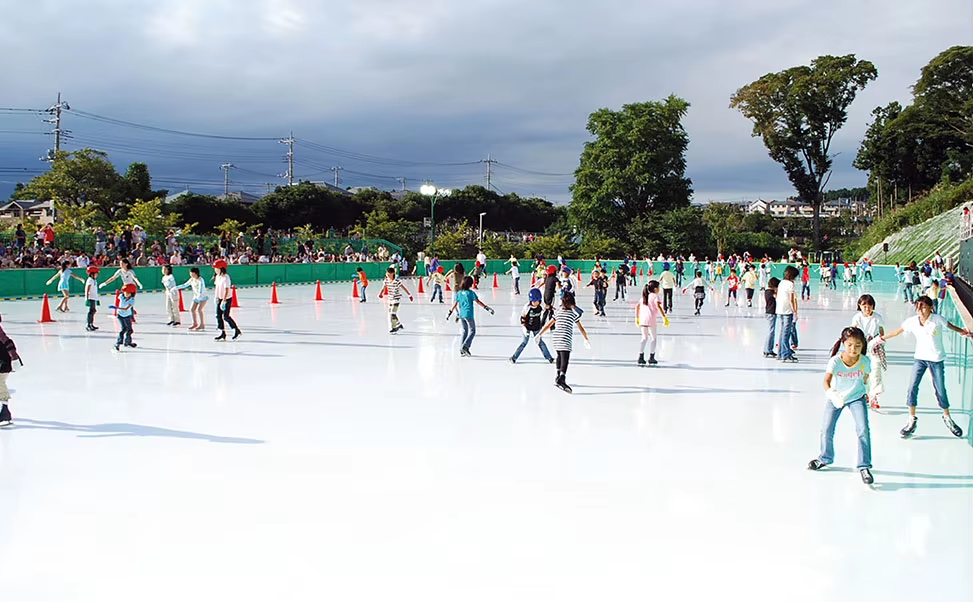 synthetic skating rink